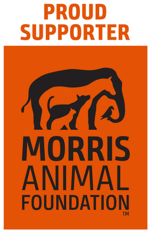 A Golden Evening and Fundraiser for the Morris Animal Foundation
