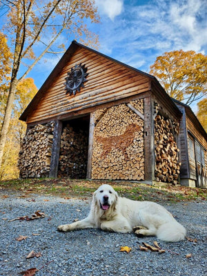 Private Sunset Safarmi™ on Golden Dog Farm