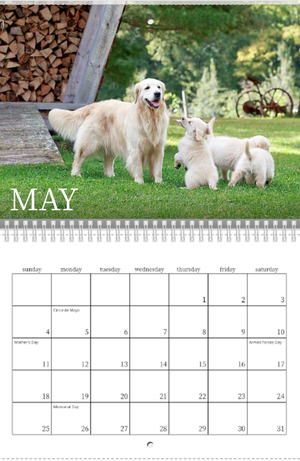 2025 Golden Dog Farm Calendar