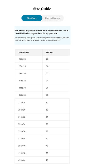 Golden Dog Farm x Belted Cow Ribbon Club Belts (with leather tab)