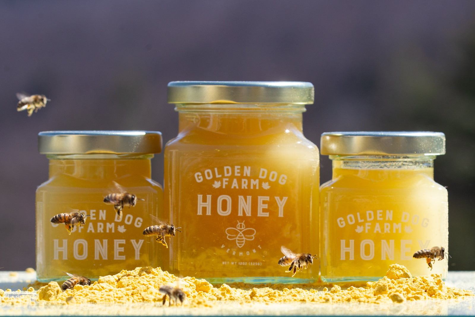 Raw Vermont Homestead Honey