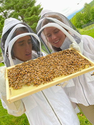 Raw Vermont Honey