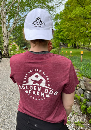 Women's Golden Dog Farm Short Sleeve V-neck Boyfriend Tee