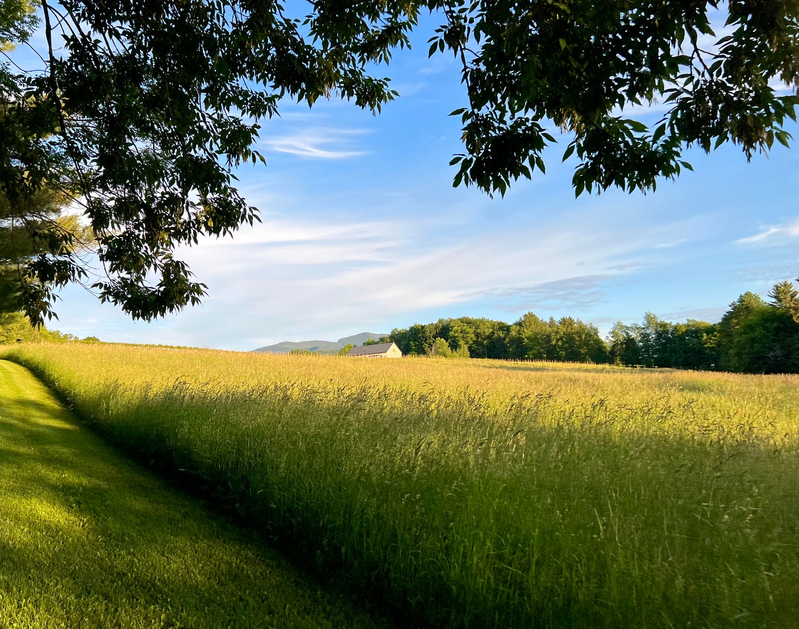 General Farm Tour - Bees and Maple Trees